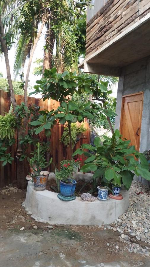 Casa De Kai Mazunte Otel Dış mekan fotoğraf